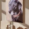 A-Hand drawn Pet Oil Painting - Customized